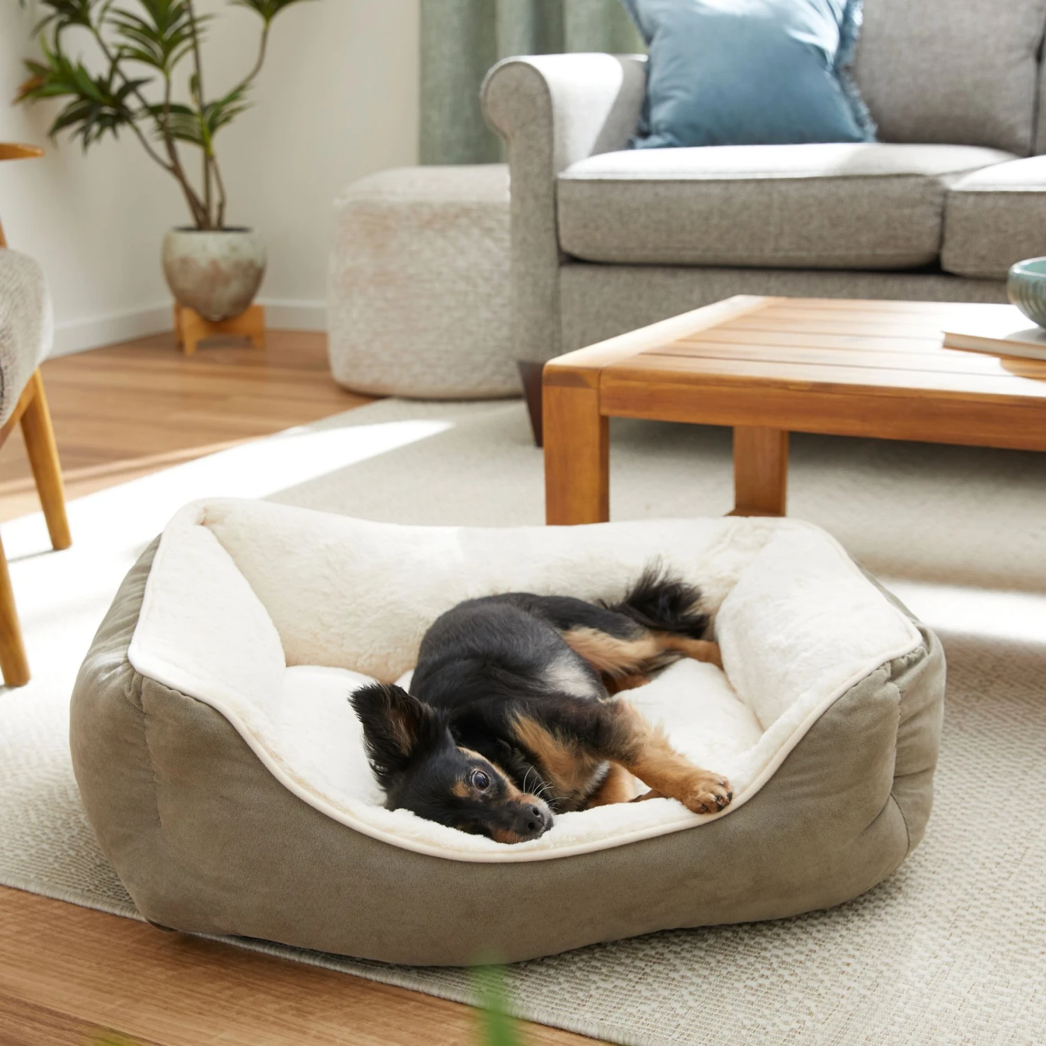 Frisco Rectangular Bolster Cat & Dog Bed 1 Frisco Rectangular Bolster Cat & Dog Bed