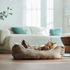 Frisco Rectangular Bolster Cat & Dog Bed 9 Frisco Rectangular Bolster Cat & Dog Bed -Frisco 113275 PT2. AC SS1800 V1657655271