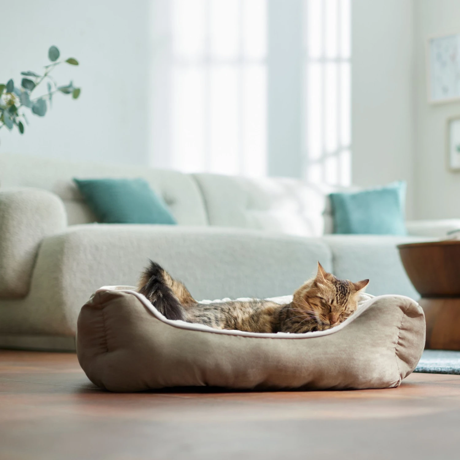 Frisco Rectangular Bolster Cat & Dog Bed 3 Frisco Rectangular Bolster Cat & Dog Bed - Image 3