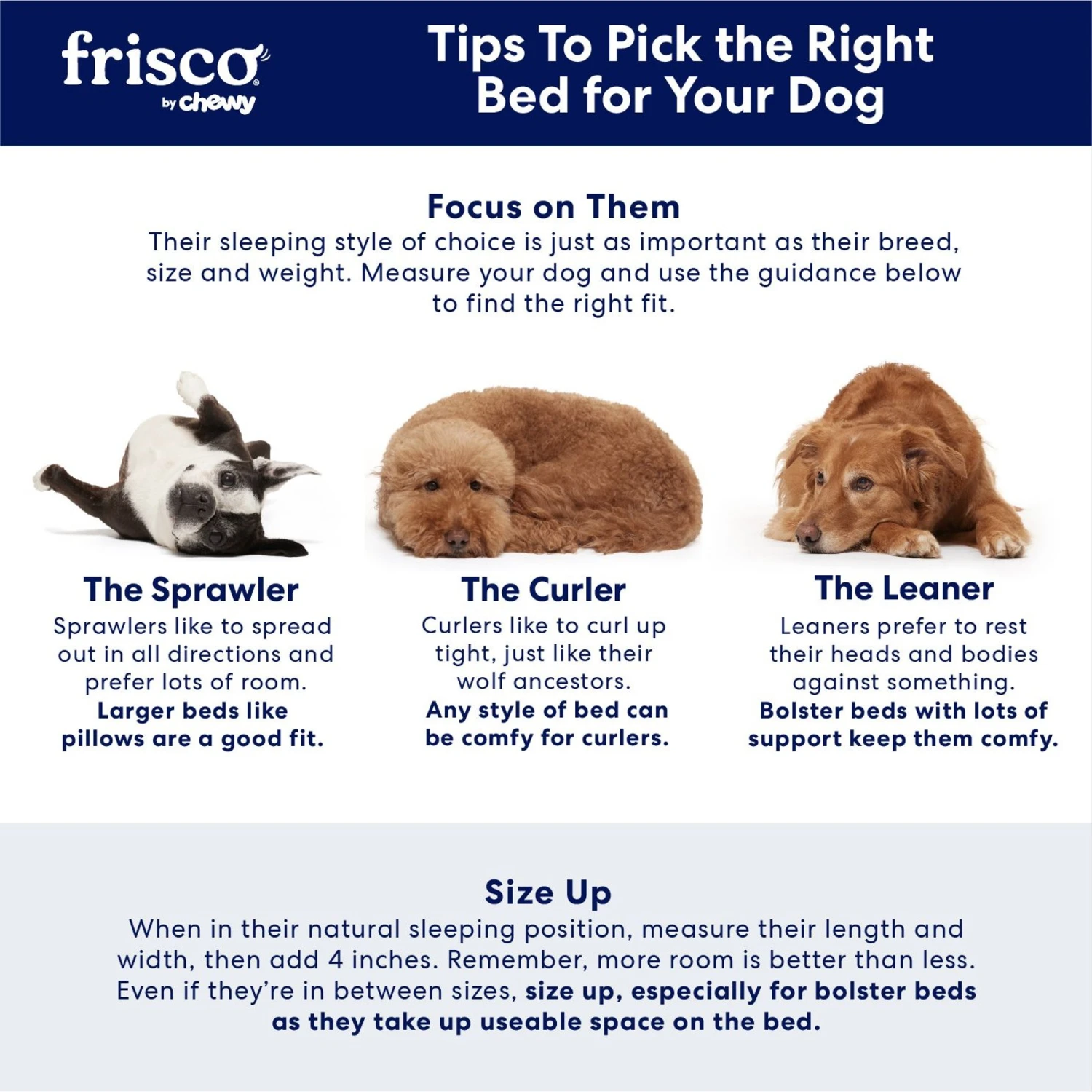 Frisco Rectangular Bolster Cat & Dog Bed 6 Frisco Rectangular Bolster Cat & Dog Bed - Image 6