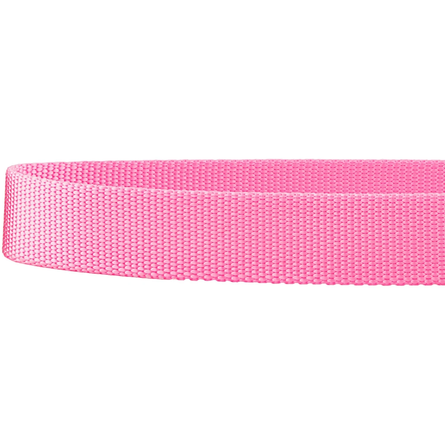 Frisco Solid Nylon Martingale Dog Collar With Buckle 6 Frisco Solid Nylon Martingale Dog Collar With Buckle - Image 6