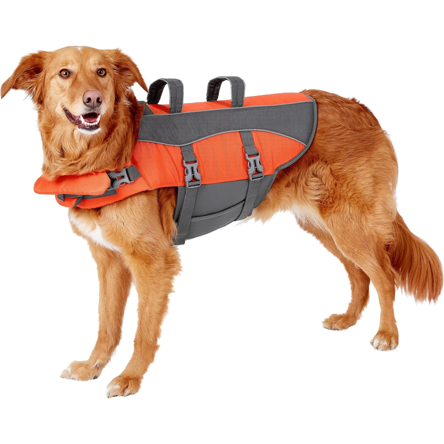 Frisco Ripstop Dog Life Jacket 1 Frisco Ripstop Dog Life Jacket