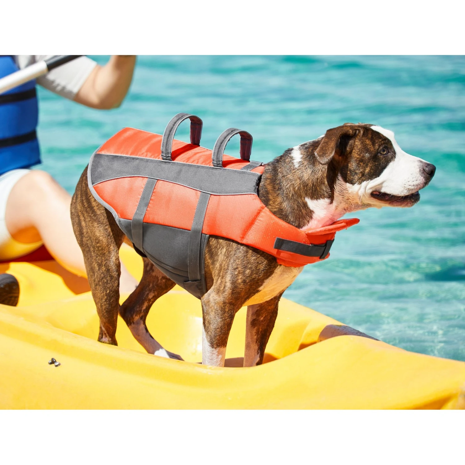 Frisco Ripstop Dog Life Jacket 8 Frisco Ripstop Dog Life Jacket - Image 8