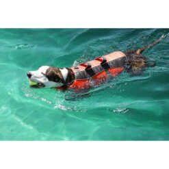 Frisco Ripstop Dog Life Jacket 17 Frisco Ripstop Dog Life Jacket -Frisco 140919 PT8. AC SS1800 V1540476454