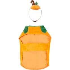 Frisco Pumpkin Dog & Cat Costume -Frisco 144446 PT4. AC SS1800 V1567176587