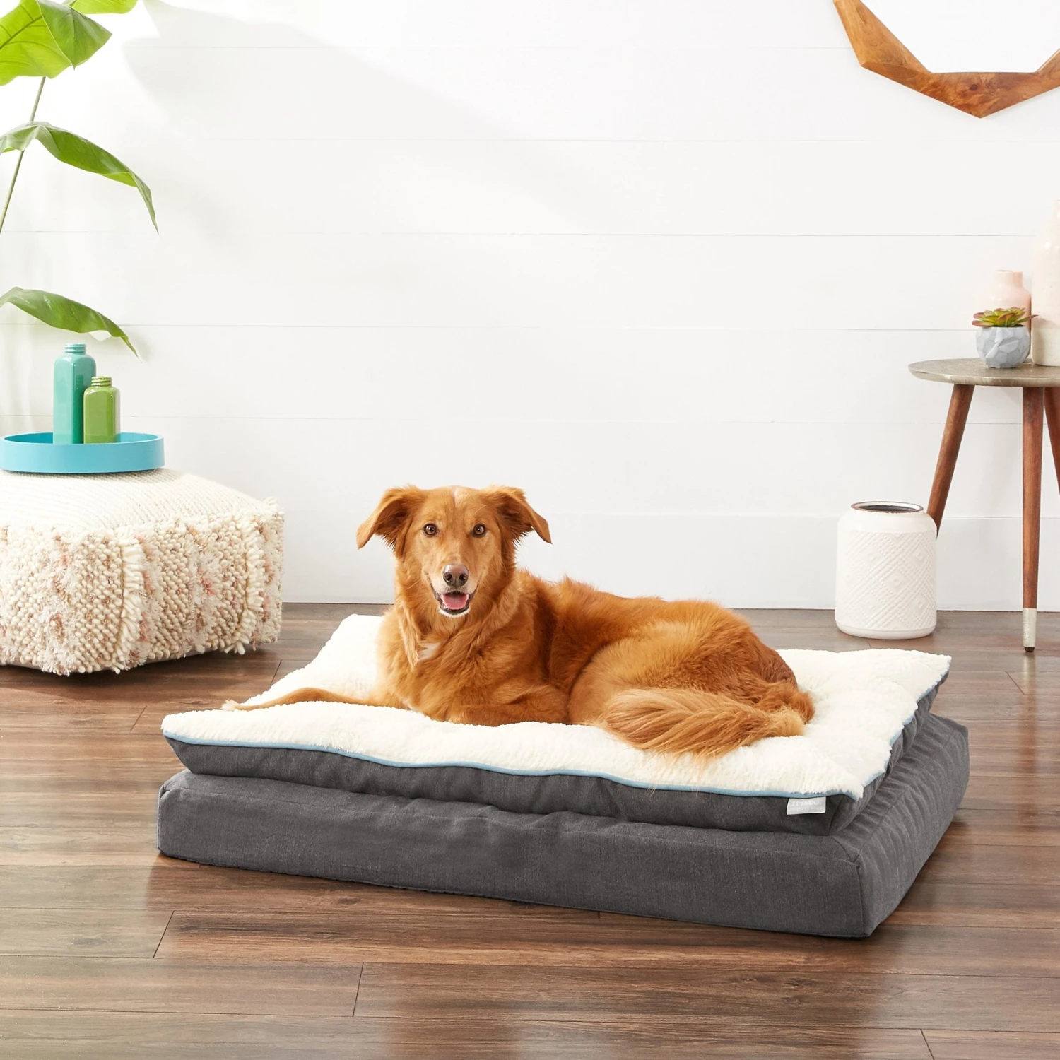 Frisco Plush Orthopedic Pillowtop Dog Bed W/Removable Cover 1 Frisco Plush Orthopedic Pillowtop Dog Bed W/Removable Cover