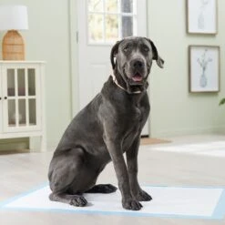 Frisco Premium Giant Dog Training & Potty Pads -Frisco 152699 PT6. AC SS1800 V1674671620