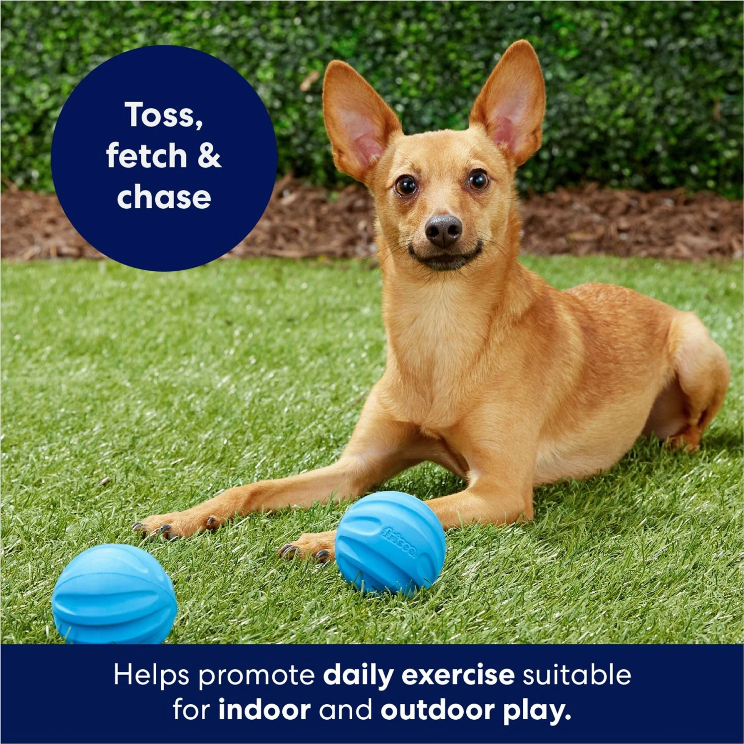 Frisco Foam Rubber Floating Fetch Ball No Squeak Dog Toy 5 Frisco Foam Rubber Floating Fetch Ball No Squeak Dog Toy - Image 5
