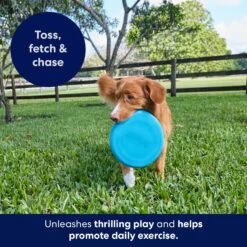Frisco Fetch Rubber Flyer Dog Toy 6 Frisco Fetch Rubber Flyer Dog Toy -Frisco 152848 PT5. AC SS1800 V1692370079