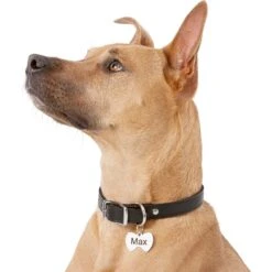 Frisco Stainless Steel Personalized Dog & Cat ID Tag, Bow Tie 12 Frisco Stainless Steel Personalized Dog & Cat ID Tag, Bow Tie -Frisco 152997 PT5. AC SS1800 V1540562104