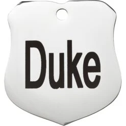 Frisco Stainless Steel Personalized Dog & Cat ID Tag, Badge -Frisco 153009 PT2. AC SS1800 V1548964780