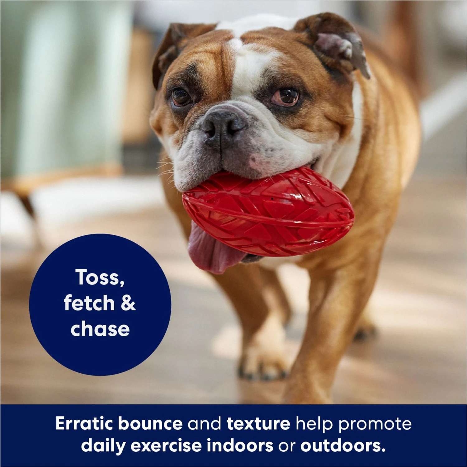 Frisco Football TPR Squeaky Dog Toy 4 Frisco Football TPR Squeaky Dog Toy - Image 4