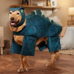 Frisco Stegosaurus Dinosaur Dog & Cat Costume -Frisco 158777 PT7. AC SS1800 V1567180627
