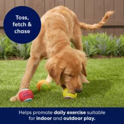 Frisco Birthday Fetch Squeaky Tennis Ball Dog Toy 11 Frisco Birthday Fetch Squeaky Tennis Ball Dog Toy -Frisco 162914 PT5. AC SS1800 V1692020098