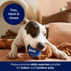 Frisco Chewy Fetch Squeaky Tennis Ball Dog Toy 10 Frisco Chewy Fetch Squeaky Tennis Ball Dog Toy -Frisco 164314 PT5. AC SS1800 V1691783910