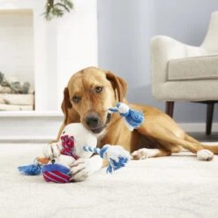 Frisco Holiday Snowman Plush With Rope Squeaky Dog Toy 7 Frisco Holiday Snowman Plush With Rope Squeaky Dog Toy -Frisco 164645 PT2. AC SS1800 V1568910233