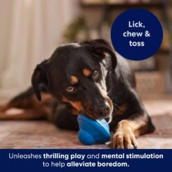 Frisco Flying Saucer Rubber Treat Dispenser Dog Toy 12 Frisco Flying Saucer Rubber Treat Dispenser Dog Toy -Frisco 164757 PT5. AC SS1800 V1691784247