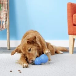 Frisco Snowman Rubber Treat Dispenser Dog Toy -Frisco 164769 PT4. AC SS1800 V1563808954