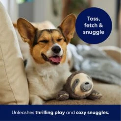 Frisco Sloth Plush Squeaky Dog Toy -Frisco 174681 PT4. AC SS1800 V1695671029