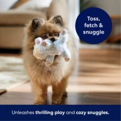 Frisco Lamb Plush Squeaky Dog Toy 10 Frisco Lamb Plush Squeaky Dog Toy -Frisco 174686 PT4. AC SS1800 V1695659156