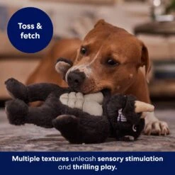 Frisco Rhino Muscle Plush Squeaky Dog Toy -Frisco 174719 PT5. AC SS1800 V1694182068