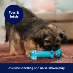 Frisco Latex Squeaky Puppy Toy 10 Frisco Latex Squeaky Puppy Toy -Frisco 174775 PT5. AC SS1800 V1691784247