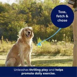 Frisco Ball Launcher & Fetch Squeaky Tennis Ball Dog Toy 8 Frisco Ball Launcher & Fetch Squeaky Tennis Ball Dog Toy -Frisco 178477 PT3. AC SS1800 V1695241970