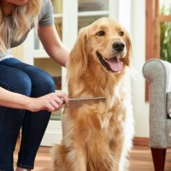 Frisco Metal Dog & Cat Comb -Frisco 206882 PT6. AC SS1800 V1680186160