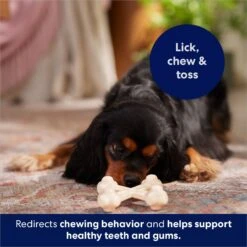 Frisco Chicken Flavor Tough Nylon Dog Chew Toy -Frisco 213432 PT5. AC SS1800 V1691784031