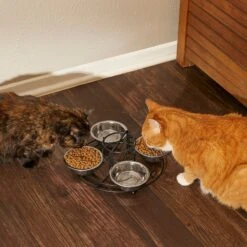 Frisco Multi Pet Feeding 4-Bowls Stainless Steel Dog & Cat Bowls, 0.5 Cup -Frisco 213787 PT6. AC SS1800 V1599091021