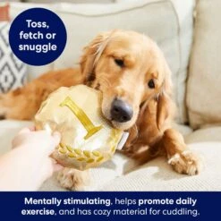 Frisco Gold Medal Round Plush Squeaky Dog Toy 7 Frisco Gold Medal Round Plush Squeaky Dog Toy -Frisco 214082 PT6. AC SS1800 V1679069984