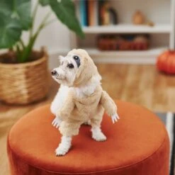 Frisco Front Walking Sloth Dog & Cat Costume 11 Frisco Front Walking Sloth Dog & Cat Costume -Frisco 215539 PT8. AC SS1800 V1599141353