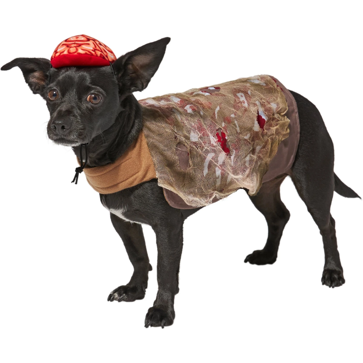 Frisco Zombie Dog & Cat Costume 1 Frisco Zombie Dog & Cat Costume