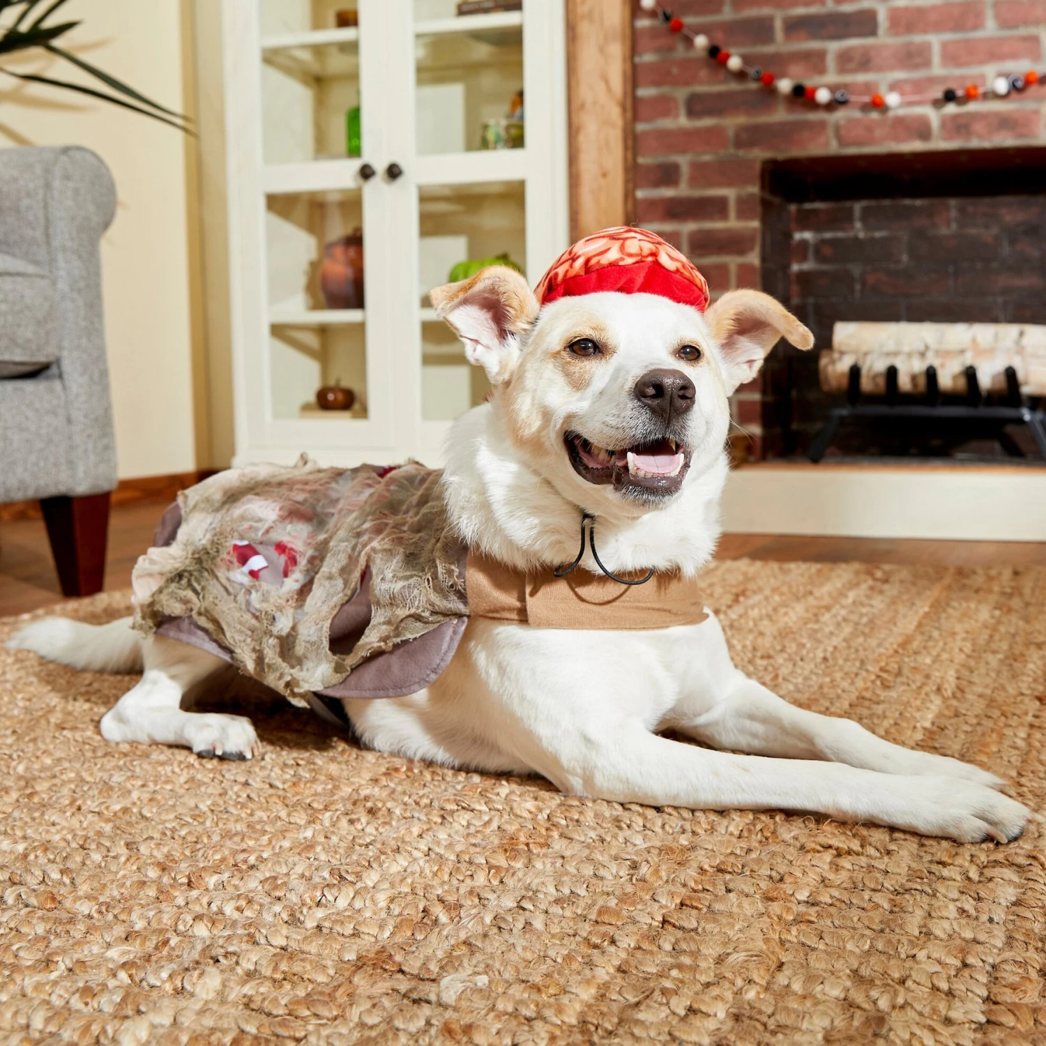 Frisco Zombie Dog & Cat Costume 6 Frisco Zombie Dog & Cat Costume - Image 6