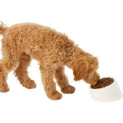 Frisco Slanted Stainless Steel Bowl -Frisco 216028 PT6. AC SS1800 V1605666119