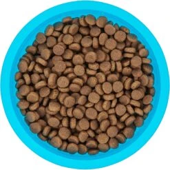 Frisco Plastic Suction Bowl, Blue -Frisco 216037 PT4. AC SS1800 V1591020655