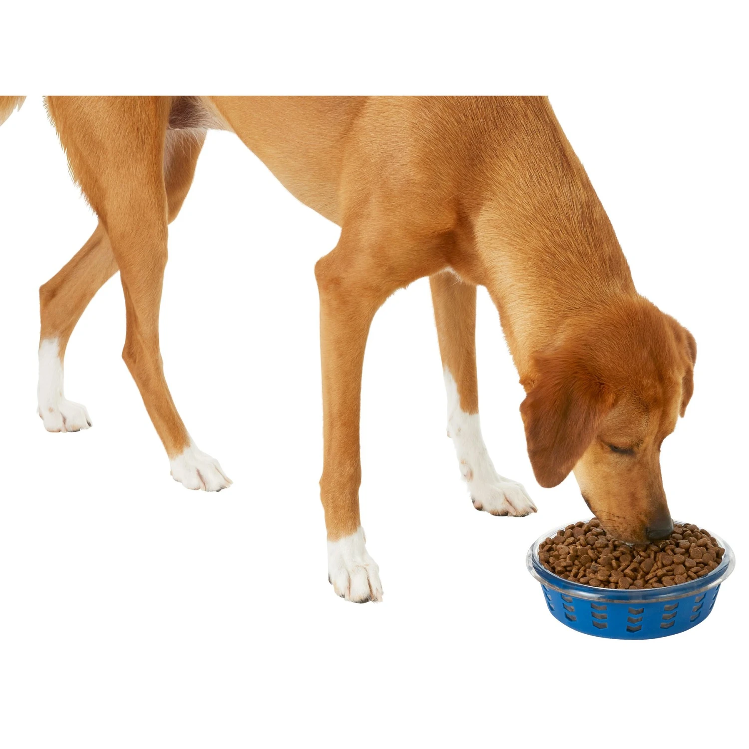 Frisco Chevron Design Glass Bowl With Silicone Sleeve 5 Frisco Chevron Design Glass Bowl With Silicone Sleeve - Image 5