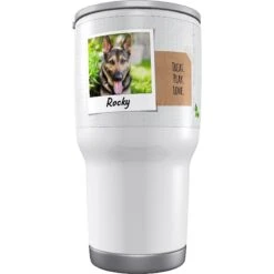 Frisco Double Walled "All We Need Is Paws" Personalized Tumbler -Frisco 219774 PT2. AC SS1800 V1594391755