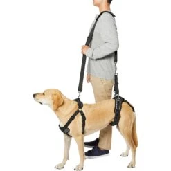 Frisco Front & Rear Lift Handicapped Support Dog Harness -Frisco 220372 PT6. AC SS1800 V1605758261