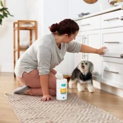 Frisco Vinegar Cleaning Wipes, 70 Count -Frisco 222151 PT4. AC SS1800 V1602847932