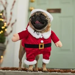 Frisco Front Walking Santa Dog & Cat Costume, 1 Count -Frisco 228785 PT7. AC SS1800 V1601560869