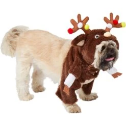 Frisco Front Walking Reindeer Dog & Cat Costume, 1 Count -Frisco 228790 PT3. AC SS1800 V1631299657