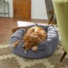 Frisco Velvet Round Bolster Dog Bed W/Removable Cover