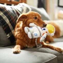 Frisco Ballistic Nylon Plush With Rope Squeaky Astronaut Dog Toy 5 Frisco Ballistic Nylon Plush With Rope Squeaky Astronaut Dog Toy -Frisco 233585 PT3. AC SS1800 V1600973761