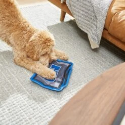 Frisco Zoomies & Chill TV Flat Plush Squeaky Dog Toy 7 Frisco Zoomies & Chill TV Flat Plush Squeaky Dog Toy -Frisco 241685 PT6. AC SS1800 V1610768399