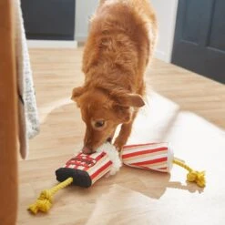 Frisco Zoomies & Chill Theatre Snacks Rope With Plush Squeaky Dog Toy 5 Frisco Zoomies & Chill Theatre Snacks Rope With Plush Squeaky Dog Toy -Frisco 241689 PT6. AC SS1800 V1610768279