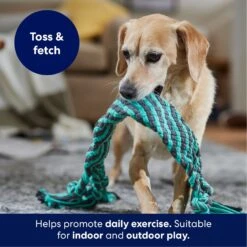 Frisco Flat Teal & Gray Braided Rope Squeaky Fetch Dog Toy -Frisco 242127 PT3. AC SS1800 V1695242179