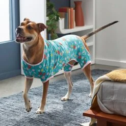 Frisco Teal Floral Dog & Cat Jersey PJs 13 Frisco Teal Floral Dog & Cat Jersey PJs -Frisco 249132 PT7. AC SS1800 V1614376401
