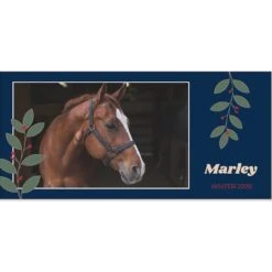 Frisco Berry Garland Personalized Coffee Mug, 11-oz -Frisco 249333 PT2. AC SS1800 V1602863774