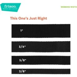 Frisco Solid Nylon Personalized Martingale Dog Collar 11 Frisco Solid Nylon Personalized Martingale Dog Collar -Frisco 249561 PT4. AC SS1800 V1628876638